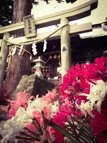 高司神社〜むすびの神の鎮まる社〜の鳥居