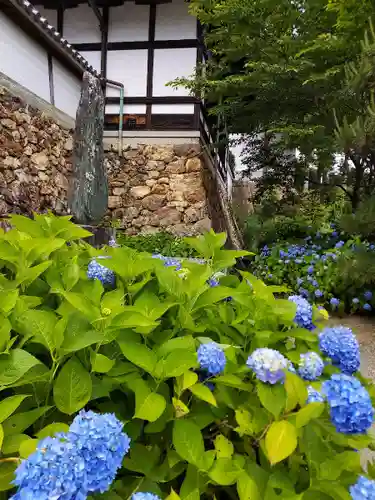 柳谷観音　楊谷寺の自然