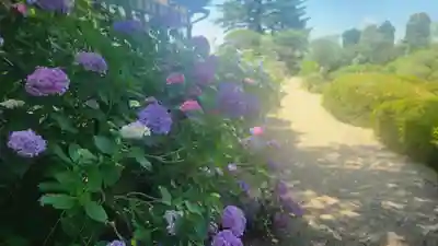 山神社(宮城県)