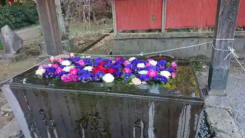 前玉神社の手水舎