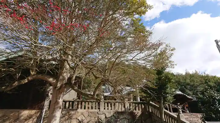 素盞嗚神社(岡山県)
