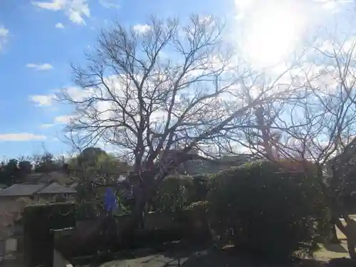 勝國寺(神奈川県)