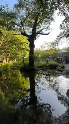 穂高神社奥宮(長野県)