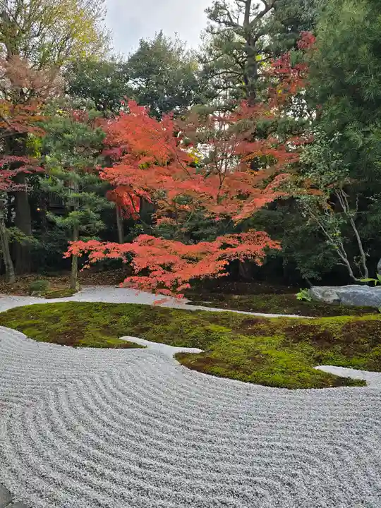 西来院(京都府)