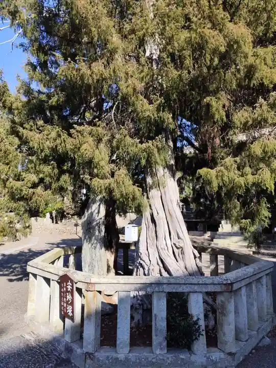 道成寺(和歌山県)