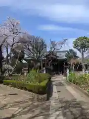 白山神社の本殿