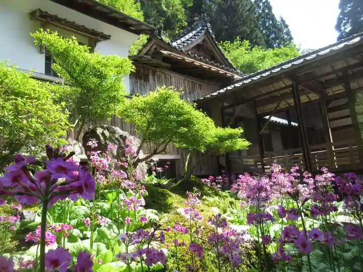 古知谷阿弥陀寺の自然