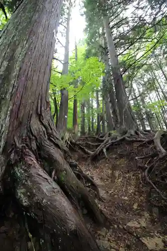 武蔵御嶽神社奥の院(東京都)