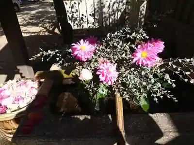 野見神社の手水舎