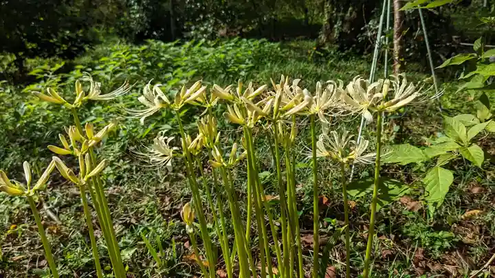 平野神社(京都府)
