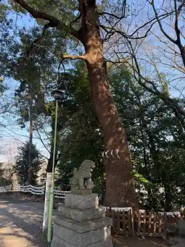 南沢氷川神社の{uncategorized: "未分類", other: "その他", undefined: "問題あり", building: "その他建物", grave: "お墓", sacred_gate: "鳥居", guardian: "狛犬", statue: "像", buddha: "仏像", history: "歴史", nature: "自然", garden: "庭園", animal: "動物", pagoda: "塔", temizu: "手水舎", mountain_gate: "山門・神門", sanctuary: "本殿・本堂", subordinate: "末社・摂社", art: "芸術", scenery: "景色", jizo: "地蔵", ema: "絵馬", goshuin: "御朱印", omikuji: "おみくじ", items: "授与品その他", amulet: "お守り", goshuincho: "御朱印帳", eats: "食事", festival: "お祭り", votive_dance: "神楽", shichigosan: "七五三参", wedding: "結婚式", experience: "体験その他", initially: "初詣", around: "周辺", anti_infection: "感染症対策"}