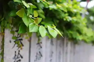 三津厳島神社(愛媛県)(2021年07月01日(木) 06時55分18秒投稿)