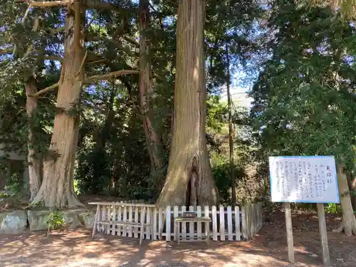 鎌数伊勢大神宮(千葉県)