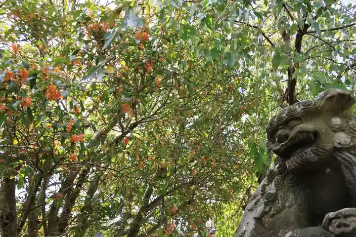 豊景神社の狛犬