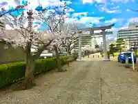 福井神社の鳥居