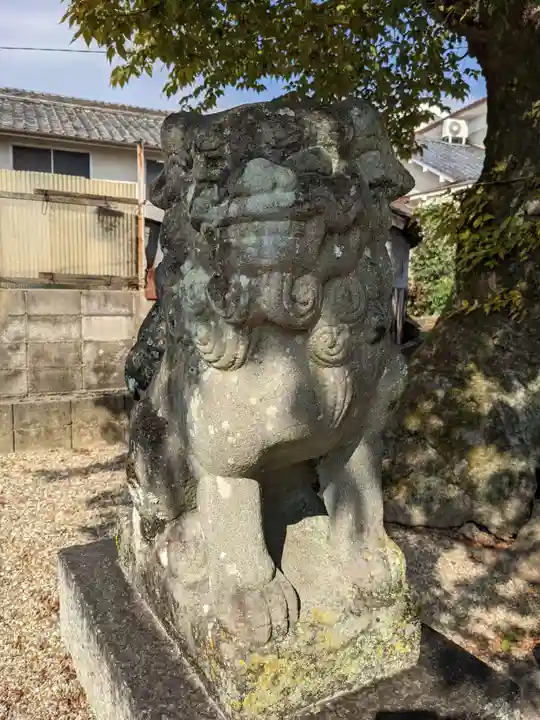 素戔嗚神社(大神神社境外末社)の狛犬