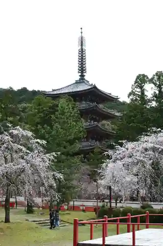 醍醐寺(京都府)