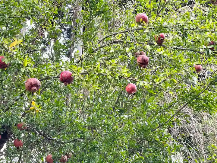 播州清水寺の自然