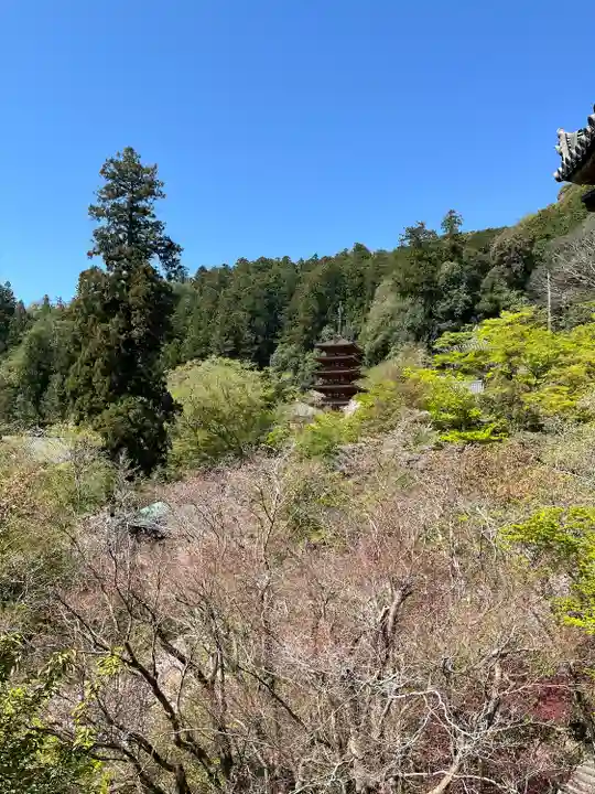 長谷寺(奈良県)
