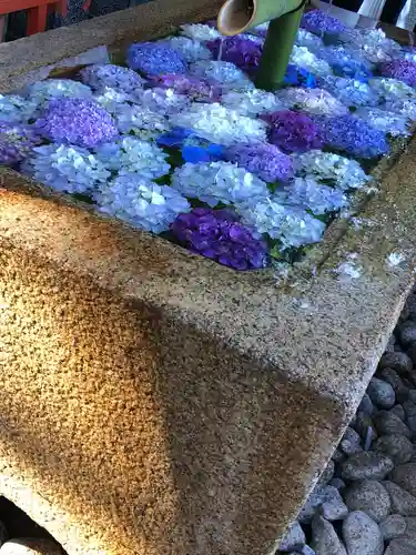 鶴岡八幡宮(神奈川県)