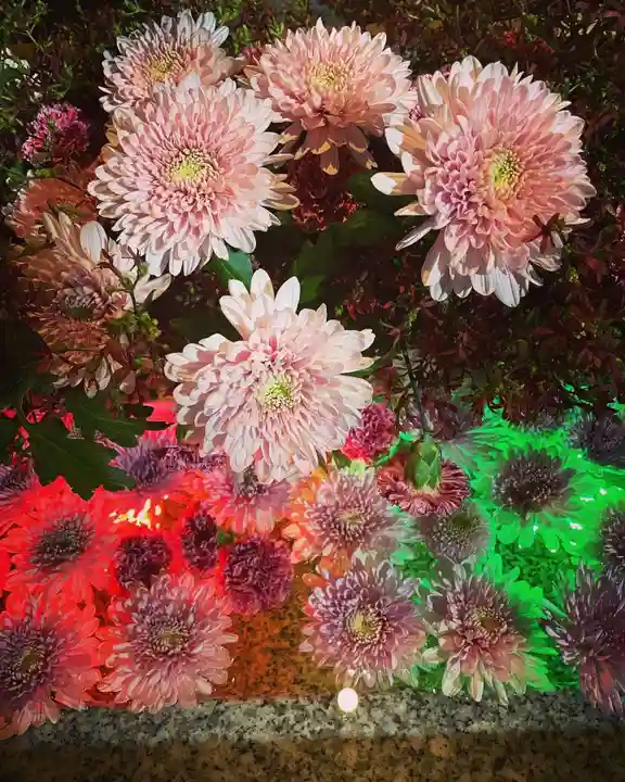 白山神社の手水舎