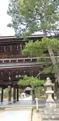 智恩寺の山門