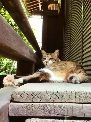 荻窪白山神社(東京都)