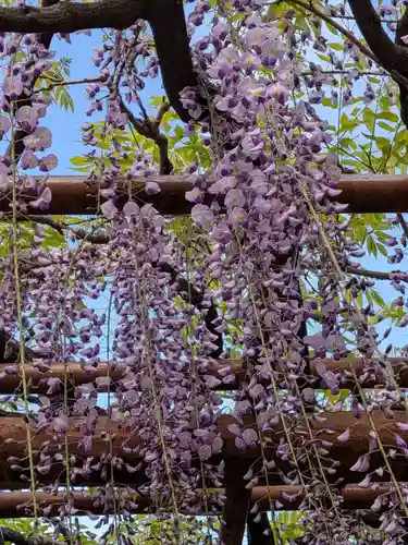 愛染院(東京都)