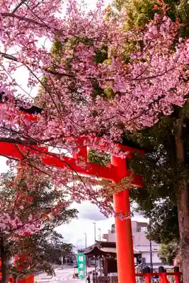 賀茂別雷神社（上賀茂神社）(京都府)