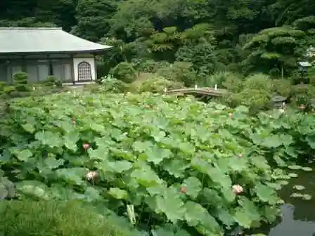 光明寺の庭園