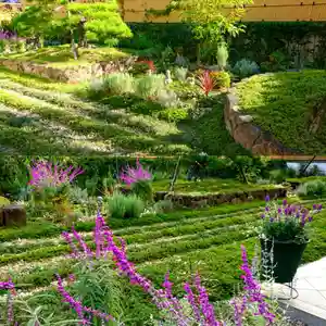 寿量山 速成寺の周辺(2020年10月26日(月) 15時56分37秒投稿)