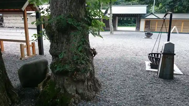 千歳神社のその他建物