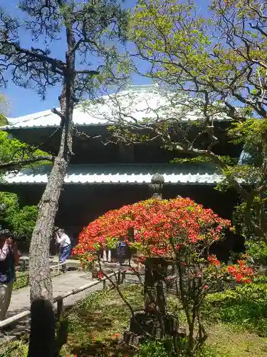 英勝寺の本殿・本堂