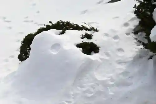 宝光寺(北海道)