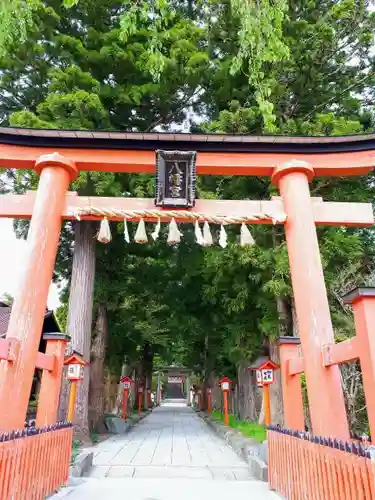 遠野郷八幡宮の鳥居