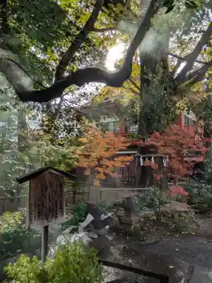 秩父神社(埼玉県)