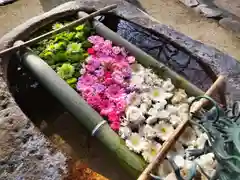 立志神社(滋賀県)