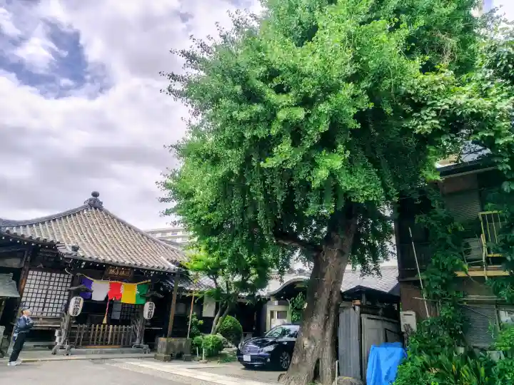 橋場寺不動院(橋場不動尊)(東京都)