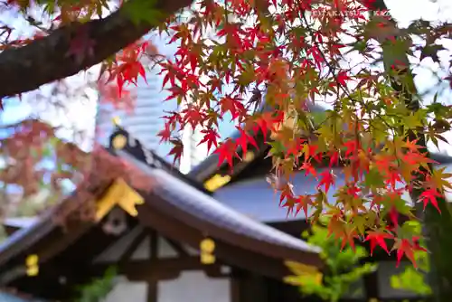 愛宕神社(東京都)