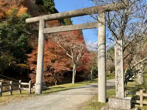 多治神社の鳥居