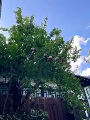 心光寺(東京都)