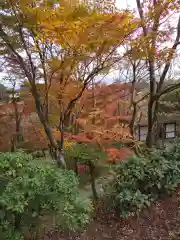 常寂光寺(京都府)