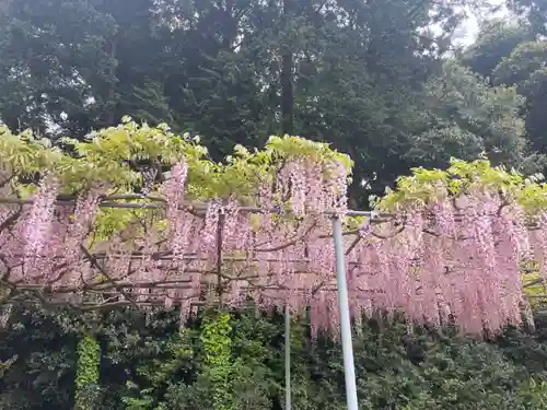 大生郷天満宮(茨城県)