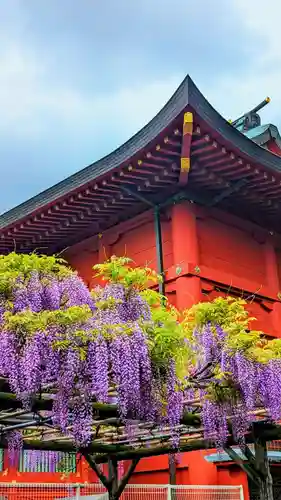 神田神社（神田明神）の自然