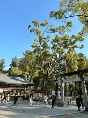 武田神社(山梨県)