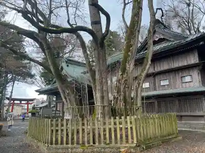 小室浅間神社(山梨県)