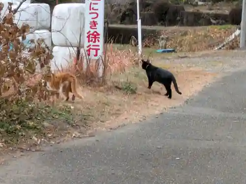白鬚神社の{uncategorized: "未分類", other: "その他", undefined: "問題あり", building: "その他建物", grave: "お墓", sacred_gate: "鳥居", guardian: "狛犬", statue: "像", buddha: "仏像", history: "歴史", nature: "自然", garden: "庭園", animal: "動物", pagoda: "塔", temizu: "手水舎", mountain_gate: "山門・神門", sanctuary: "本殿・本堂", subordinate: "末社・摂社", art: "芸術", scenery: "景色", jizo: "地蔵", ema: "絵馬", goshuin: "御朱印", omikuji: "おみくじ", items: "授与品その他", amulet: "お守り", goshuincho: "御朱印帳", eats: "食事", festival: "お祭り", votive_dance: "神楽", shichigosan: "七五三参", wedding: "結婚式", experience: "体験その他", initially: "初詣", around: "周辺", anti_infection: "感染症対策"}