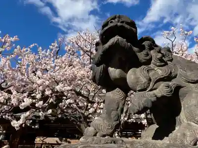 湯島天満宮(東京都)