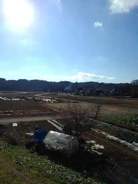 圓通寺(円通寺)の周辺