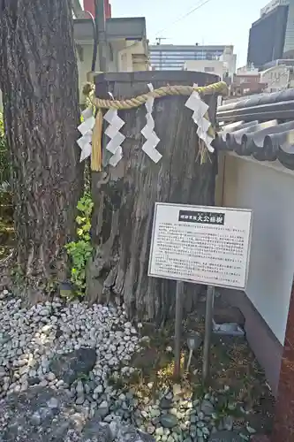 神田神社（神田明神）の自然